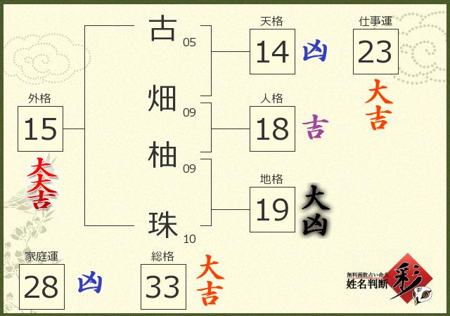 診断結果画像