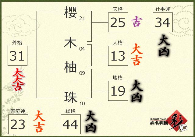 診断結果画像