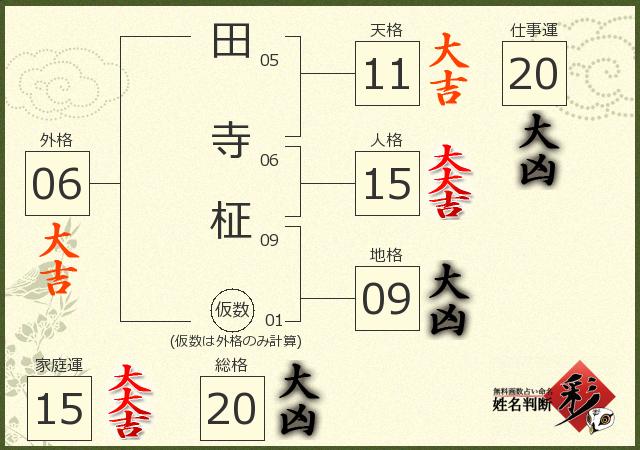診断結果画像