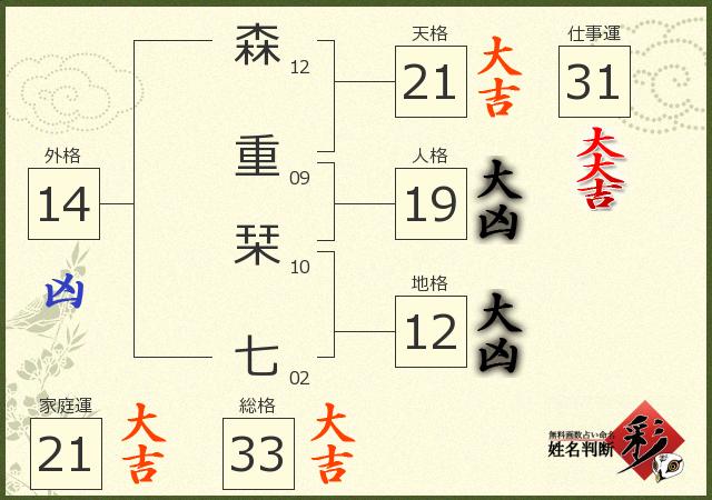 診断結果画像