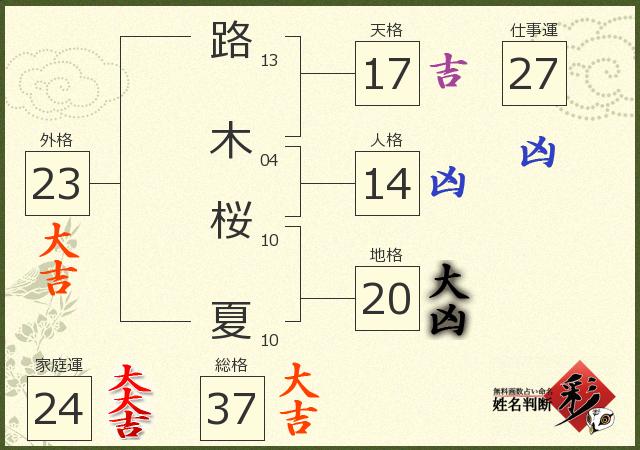 診断結果画像
