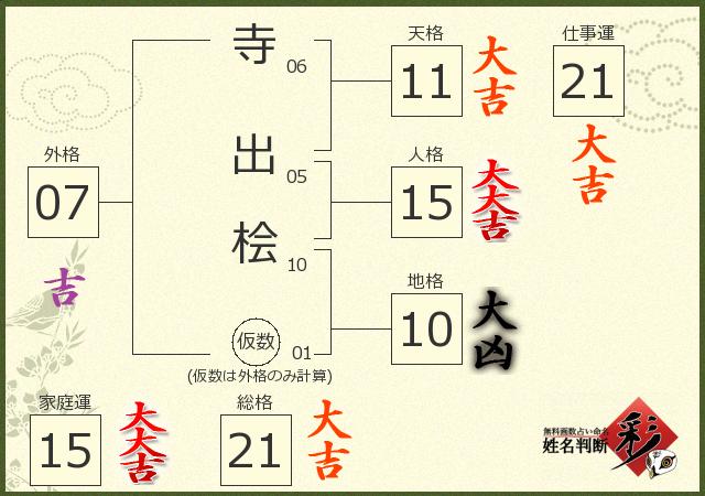 診断結果画像