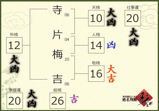 診断結果画像