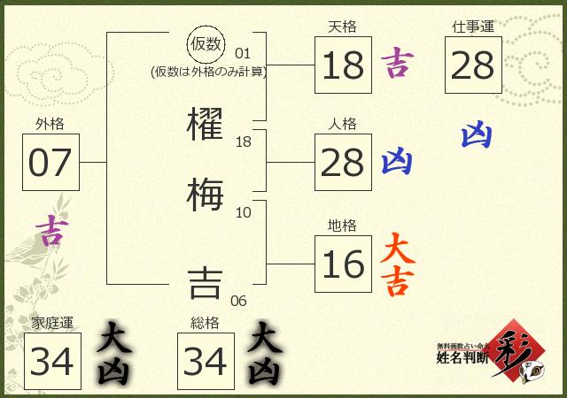 診断結果画像