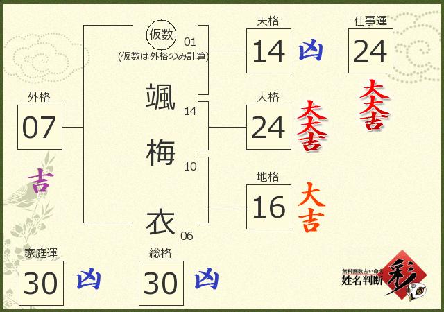 診断結果画像