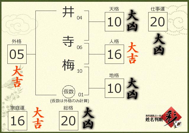 診断結果画像