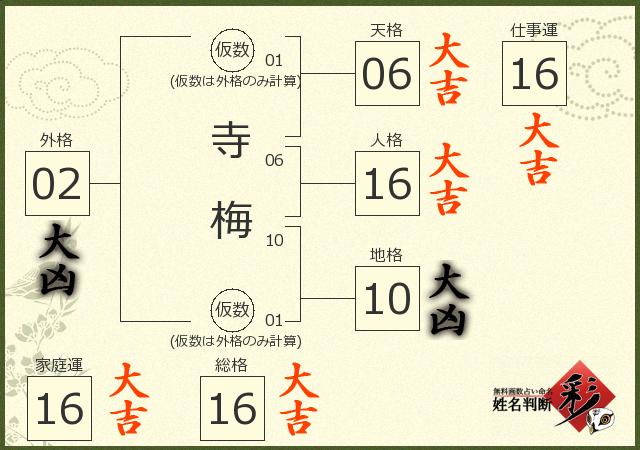 診断結果画像
