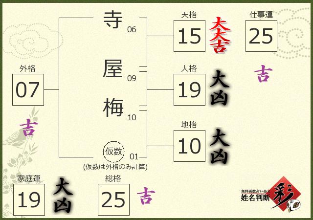 診断結果画像