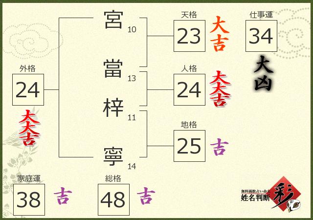 診断結果画像