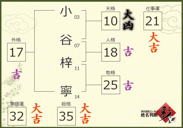 診断結果画像