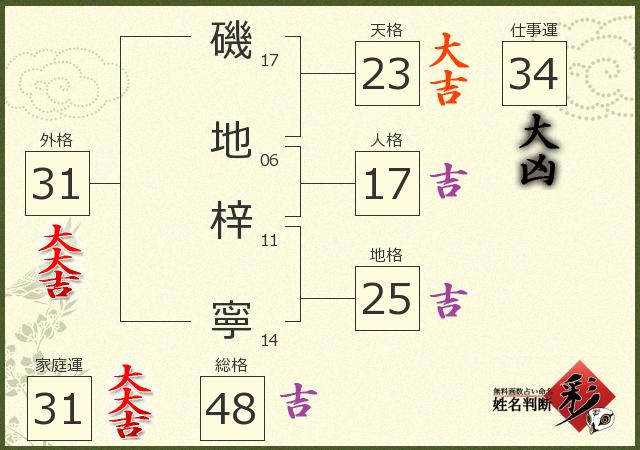 診断結果画像