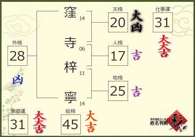 診断結果画像