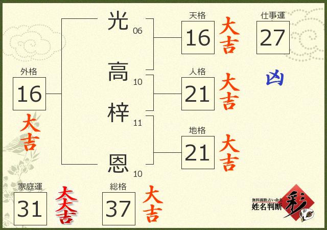 診断結果画像
