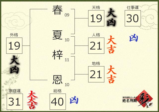 診断結果画像