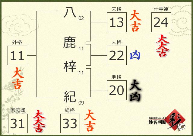 診断結果画像