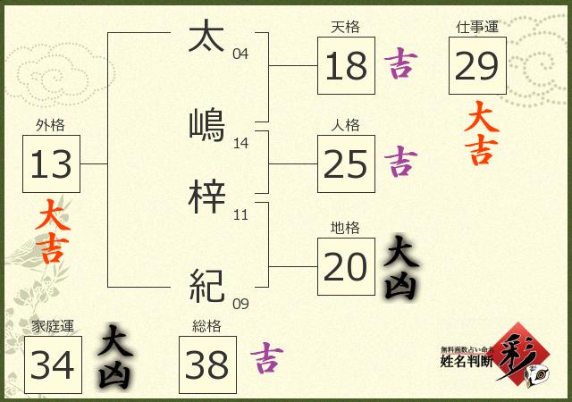 診断結果画像