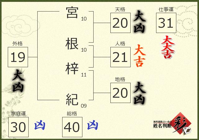 診断結果画像