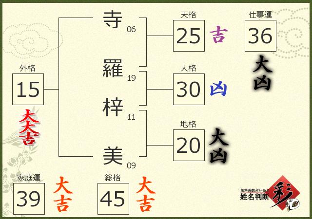 診断結果画像