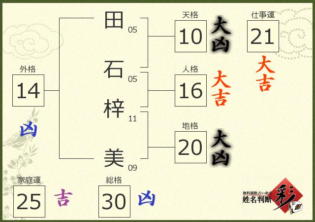 診断結果画像