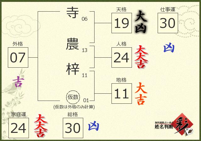 診断結果画像
