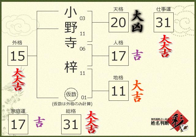 診断結果画像