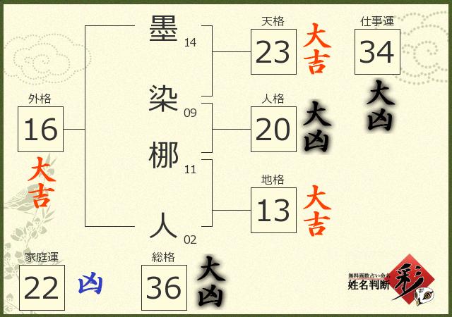 診断結果画像