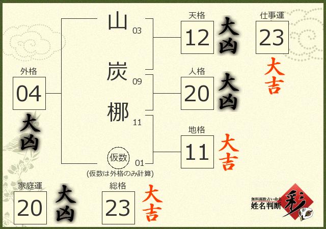 診断結果画像
