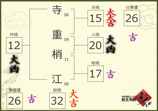 診断結果画像