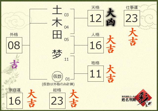 診断結果画像