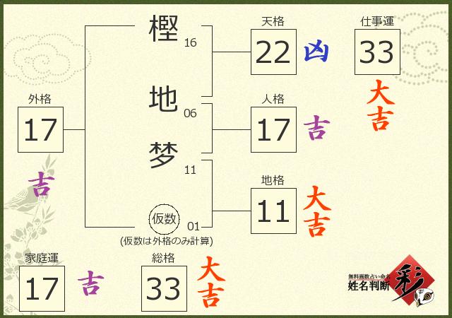 診断結果画像