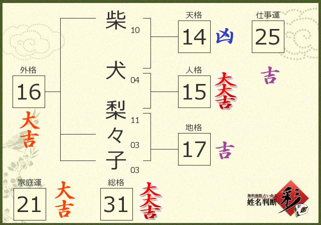 診断結果画像