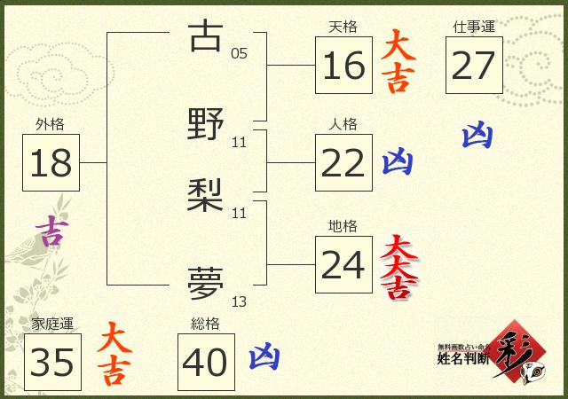 診断結果画像