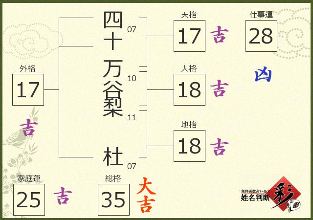 診断結果画像