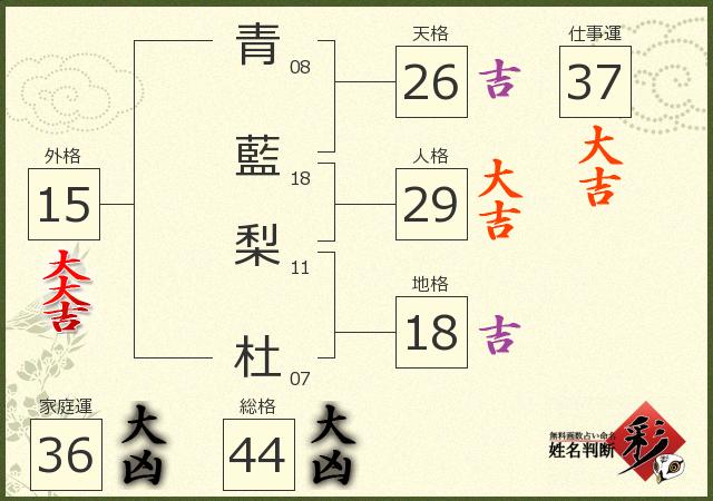 診断結果画像
