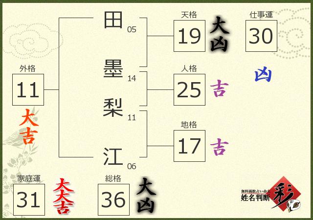 診断結果画像