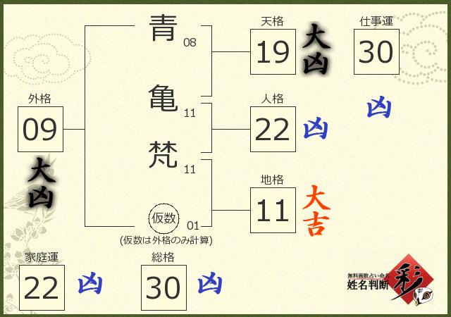 診断結果画像