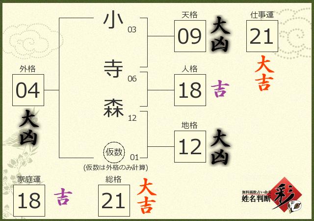 診断結果画像