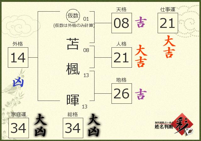 診断結果画像