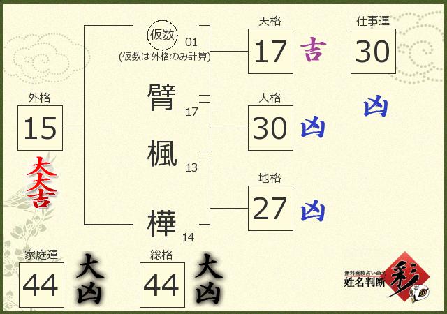 診断結果画像