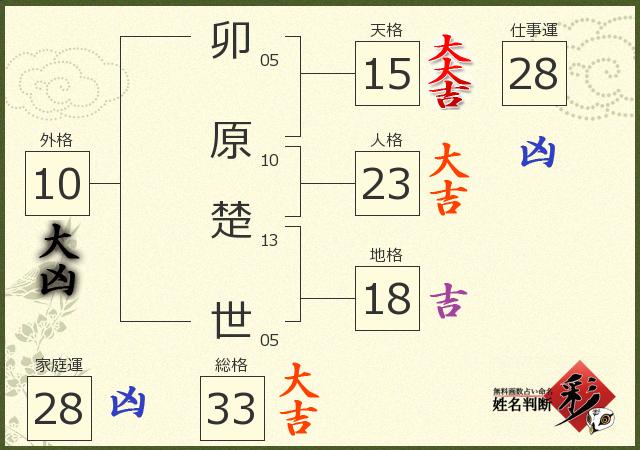 診断結果画像