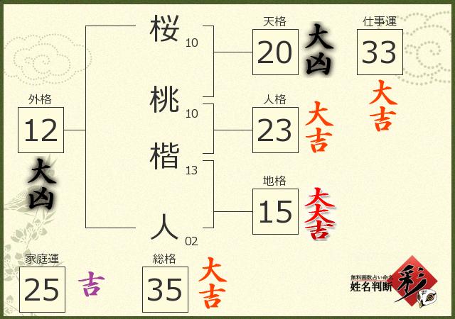 診断結果画像