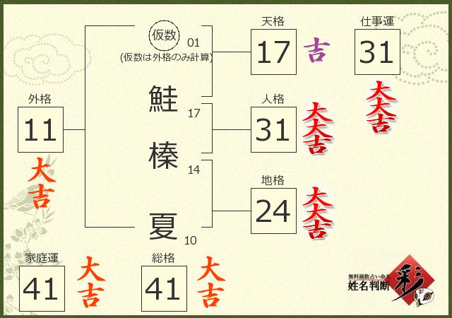 診断結果画像