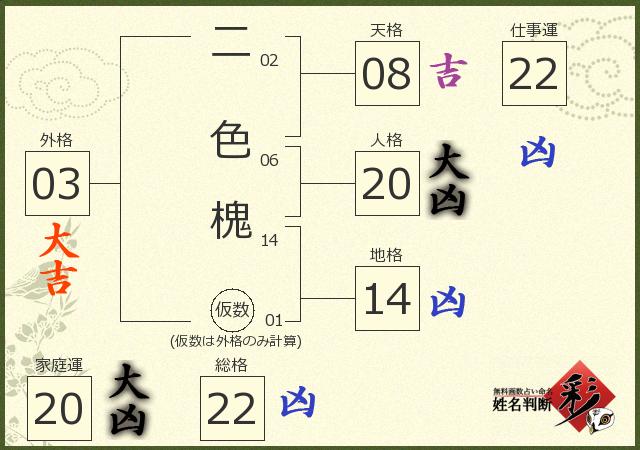 診断結果画像