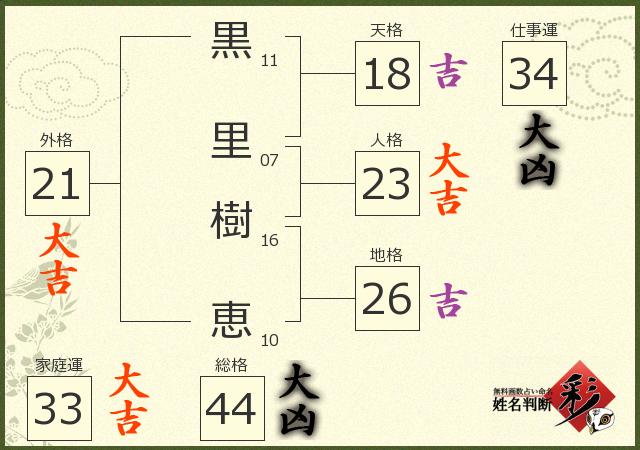 診断結果画像