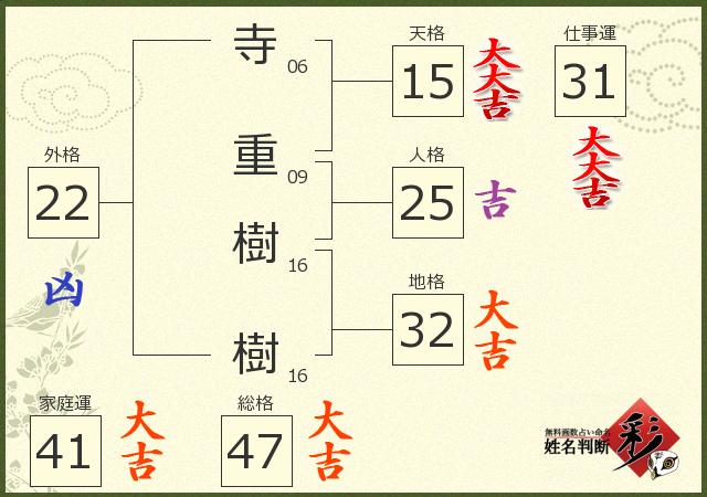 診断結果画像
