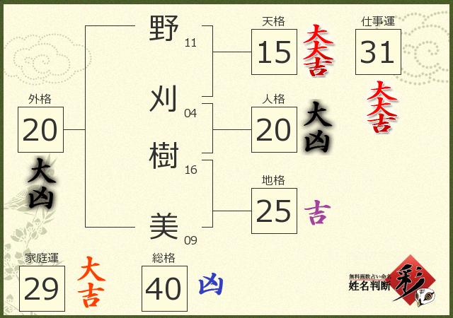 診断結果画像