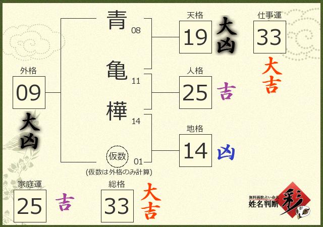診断結果画像