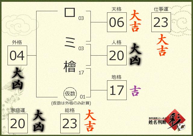 診断結果画像