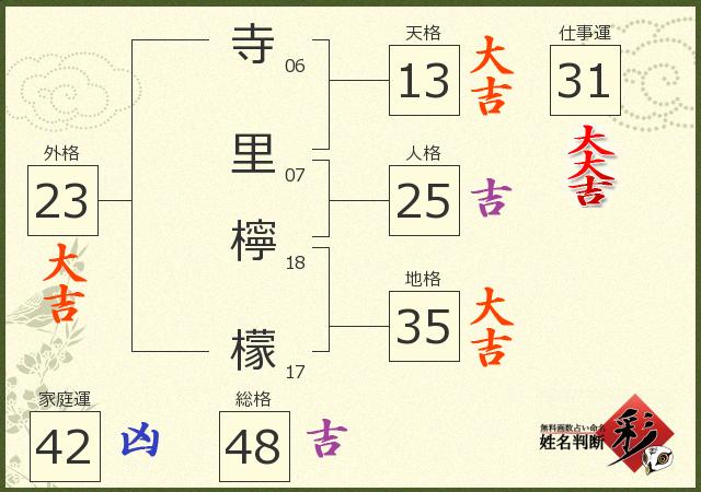 診断結果画像
