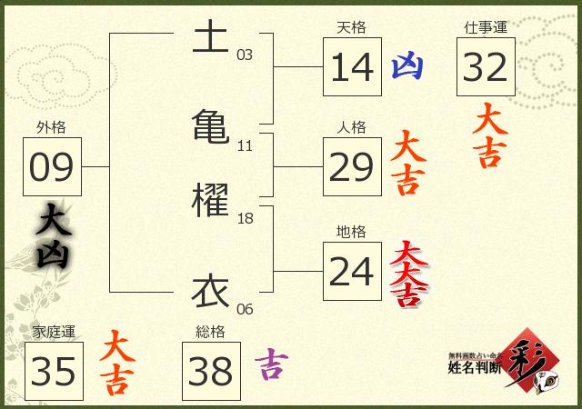 診断結果画像